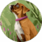 Kilo Erickson Avatar